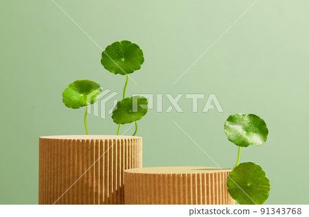 Abstract cosmetic green background for product presentation with natural. Centella asiatica placed next to the product display platform. 91343768