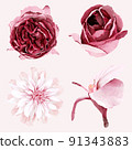 Watercolor burgundy and blush flowers 91343883