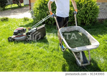 Man with a wheelbarrow of freshly cut grass. Person mows the lawn in the backyard Man with a wheelbarrow of freshly cut grass. Person mows the lawn in the backyard 91343993