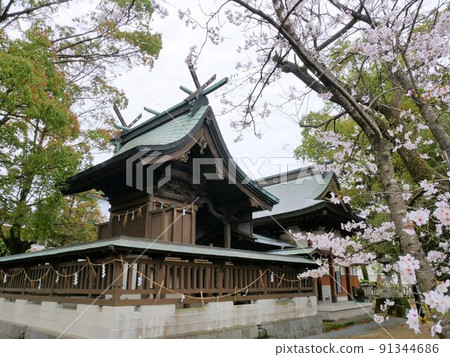 Kashimagu (Hikawa Town, Kumamoto Prefecture) Kashimagu (Hikawa Town, Kumamoto Prefecture) 91344686