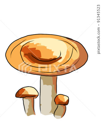 Drawn colored mushrooms of different types on a white background 91345523