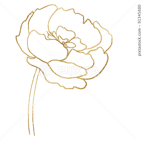 Watercolor golden outline peony flower illustration element 91345880