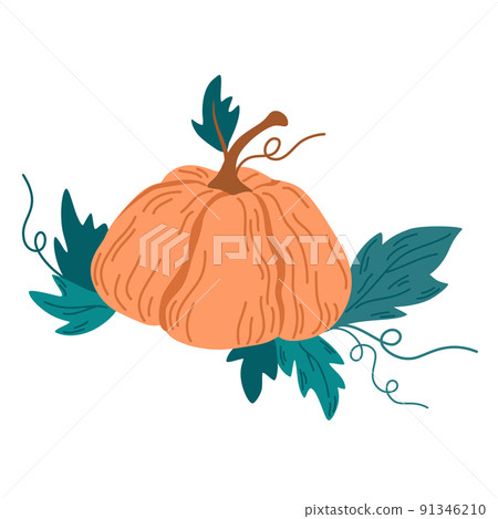 Pumpkin. Vegetables food. Autumn, fall, thanksgiving and Halloween decoration. Hand draw vector cartoon illustration isolated on the white background.  91346210