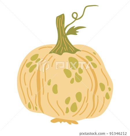 Pumpkin. Vegetables food. Autumn, fall, thanksgiving and Halloween decoration. Hand draw vector cartoon illustration isolated on the white background. Pumpkin. Vegetables food. Autumn, fall, thanksgiving and Halloween decoration. Hand draw vector cartoon illustration isolated on the white background. 91346212