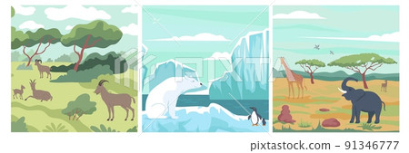 Wildlife Flat Design Concept - Stock Illustration [91346777] - PIXTA