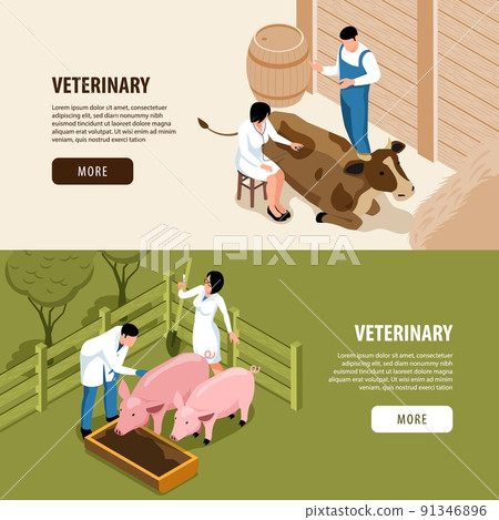Farm Veterinary Isometric Banners 91346896