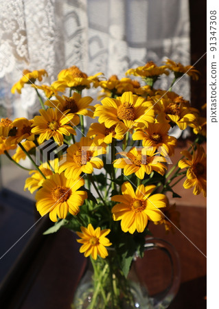 Decorate the bay window with yellow flowers in the garden Decorate the bay window with yellow flowers in the garden 91347308
