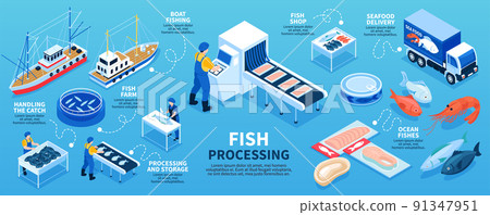 Fish Processing Isometric Infographics Scheme Fish Processing Isometric Infographics Scheme 91347951