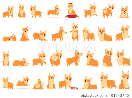 Royal corgi icons set cartoon vector. Animal dog. Breed baby 91348740