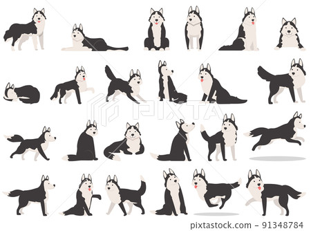 Husky icons set cartoon vector. Dog ears. Alaskan animal 91348784