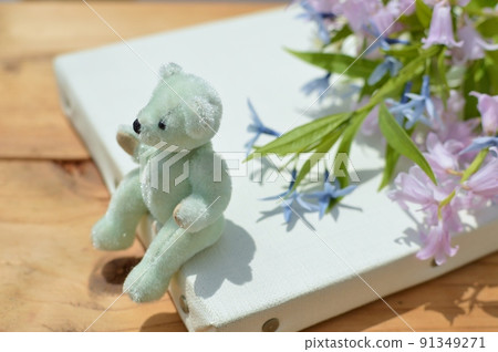 一束淡色的席勒和amsonia elliptica和一隻泰迪熊 91349271