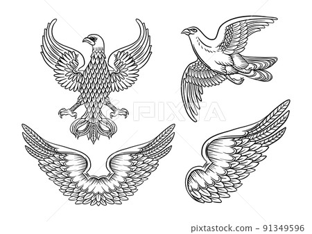 Eagle, falcon, bird, wing, double wings. Traditional character styles for coats of arms and shieldseagleset1zz Eagle, falcon, bird, wing, double wings. Traditional character styles for coats of arms and shieldseagleset1zz 91349596