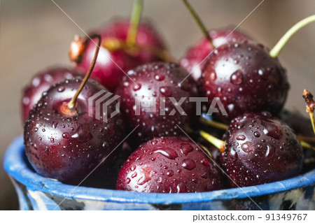 Fresh cherry berries in drops of water Fresh cherry berries in drops of water 91349767
