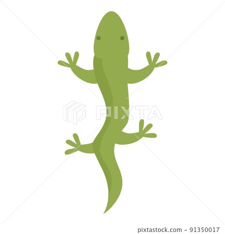 Argentina salamander icon cartoon vector. America travel. Argentinian latin 91350017