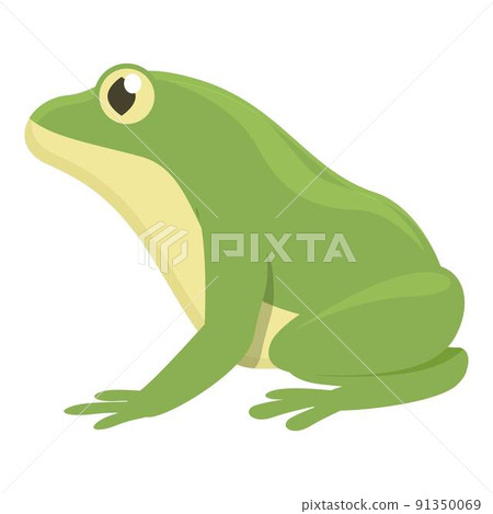Aquatic frog icon cartoon vector. Animal jump. Green character 91350069