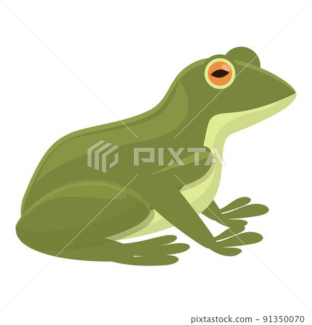 Life frog icon cartoon vector. Happy smile. Water head frog 91350070