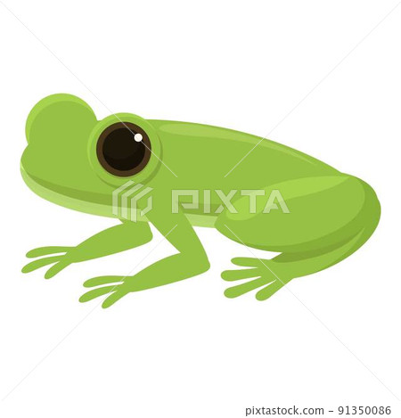 Exotic frog icon cartoon vector. Cute green. Evolution life Exotic frog icon cartoon vector. Cute green. Evolution life 91350086