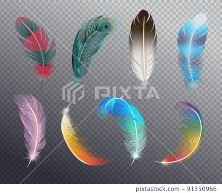 Color Feathers Realistic Set Color Feathers Realistic Set 91350966