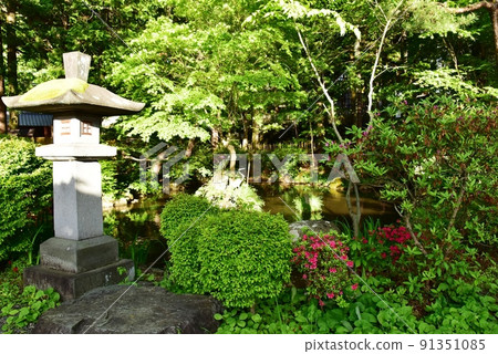 Chihiroike and fresh green of Suwa Taisha Shimosha Akimiya, Shimosuwa Town, Nagano Prefecture Chihiroike and fresh green of Suwa Taisha Shimosha Akimiya, Shimosuwa Town, Nagano Prefecture 91351085