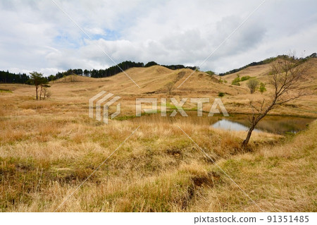 Hyogo Prefecture Toho plateau 91351485