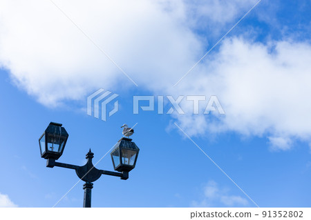 有藍天、雲彩和海鷗的路燈停止了 91352802
