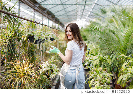 Woman gardener in apron caring potted plant in greenhouse surrounded by plants and pots. Home gardening, love of plants and care. Small business. Woman gardener in apron caring potted plant in greenhouse surrounded by plants and pots. Home gardening, love of plants and care. Small business. 91352930