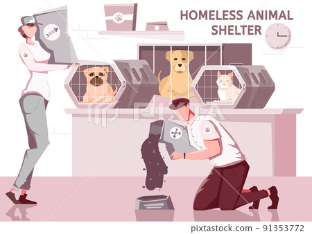 Homeless Animal Shelter Composition Homeless Animal Shelter Composition 91353772
