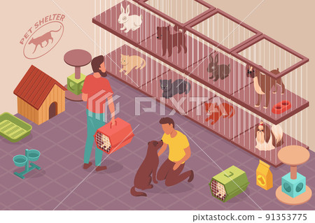 Homeless Animals Shelter Composition Homeless Animals Shelter Composition 91353775