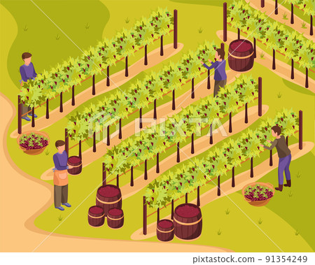 Wine Production Background Wine Production Background 91354249