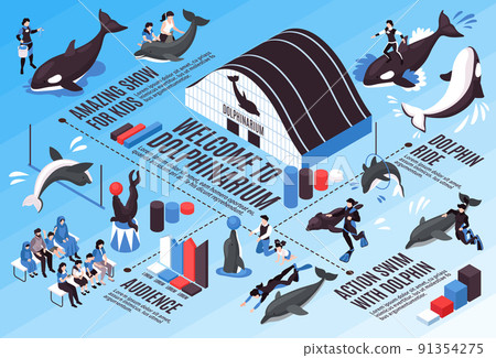 Dolphinarium Isometric Infographic Scheme 91354275
