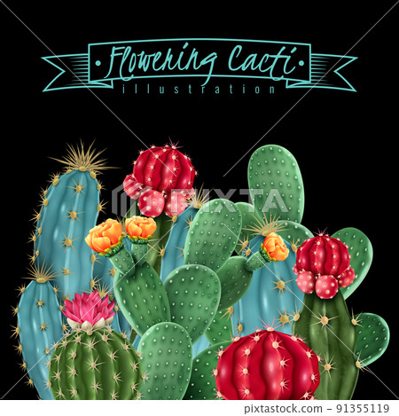 Flowering Cacti Vector Illustration Flowering Cacti Vector Illustration 91355119