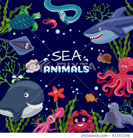 Sea Animals Funny Frame Sea Animals Funny Frame 91355198