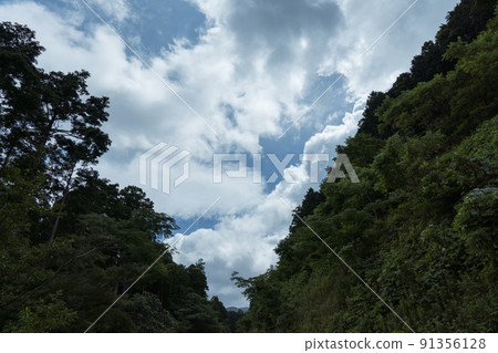 Early summer sky and clouds shown between forests Nature / Walking / Drive Stock Photos 91356128