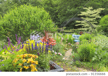 English Garden Barakura 91356666