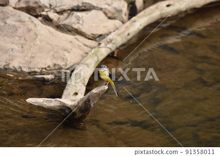 Kisekirei Kisekirei 91358011