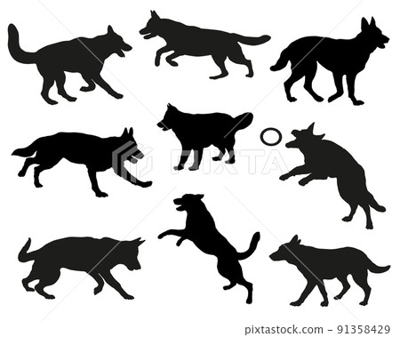 Group german shepherd dogs. Black dog silhouette. Group german shepherd dogs. Black dog silhouette. 91358429