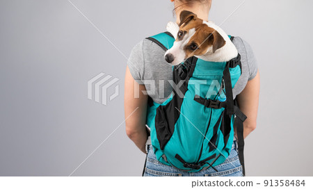 Jack shop russell backpack