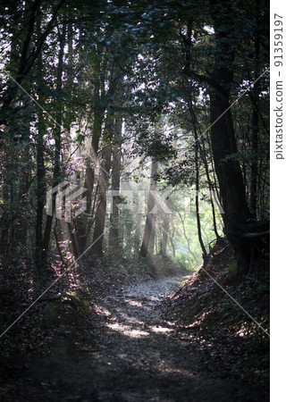 Asahi's refreshing mountain trail Asahi's refreshing mountain trail 91359197