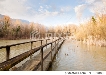 Old wood footbridge on lagoon, rural landscape 91359880