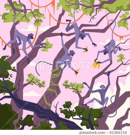 Jungle Landscape Illustration Jungle Landscape Illustration 91360138