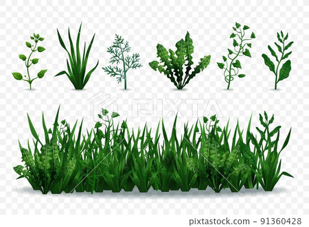 Green Grasses Set 91360428