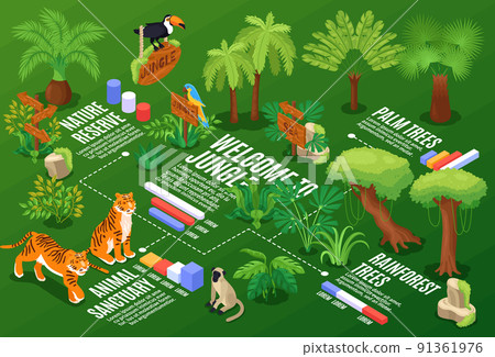Isometric Jungle Flowchart Composition 91361976