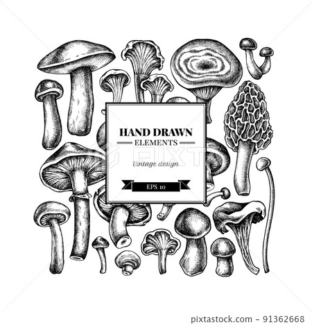 Square design with black and white oyster mushroom, champignon, honey agaric, etc. 91362668