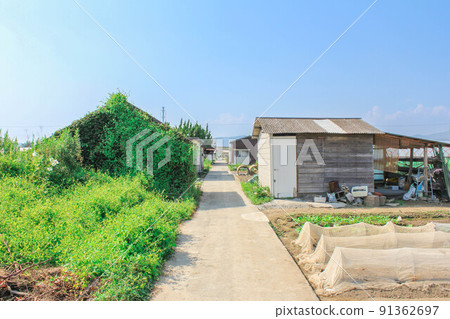 悠閒的田園風情“農家路” 悠閒的田園風情“農家路” 91362697