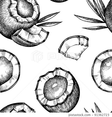 Fruits seamless pattern background design. Engraved style. Hand drawn coconut. 91362723