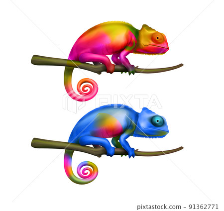 Colorful Chameleon Realistic Set 91362771
