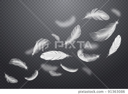 White Falling Feathers Transparent Set 91363086