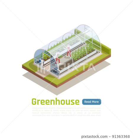 Greenhouse Outdoor Isometric View Greenhouse Outdoor Isometric View 91363368