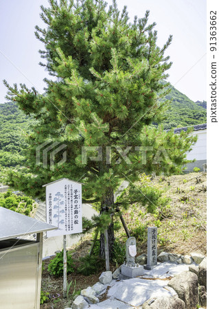 四國第 88 位第 73 位 Deshakaji Temple Sanko no Matsu,香川縣善通寺市 四國第 88 位第 73 位 Deshakaji Temple Sanko no Matsu,香川縣善通寺市 91363662