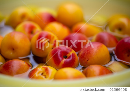 Minami Takane plum 91366408